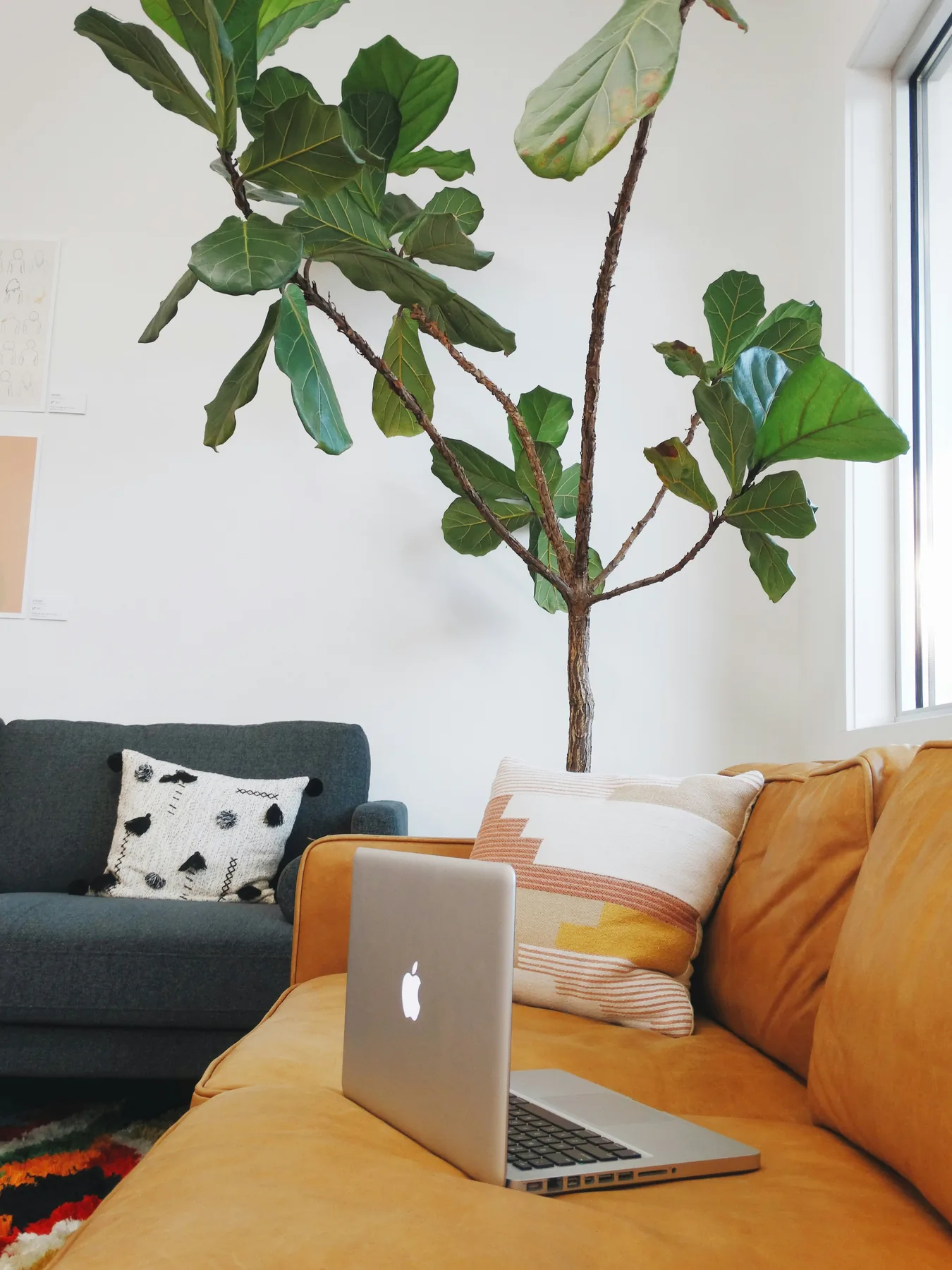 A warm, comfortable counselling room with natural light